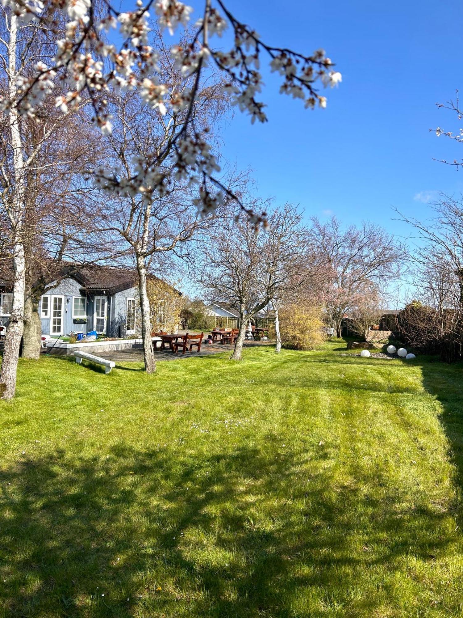 Apartamenty Neksø Exteriör bild