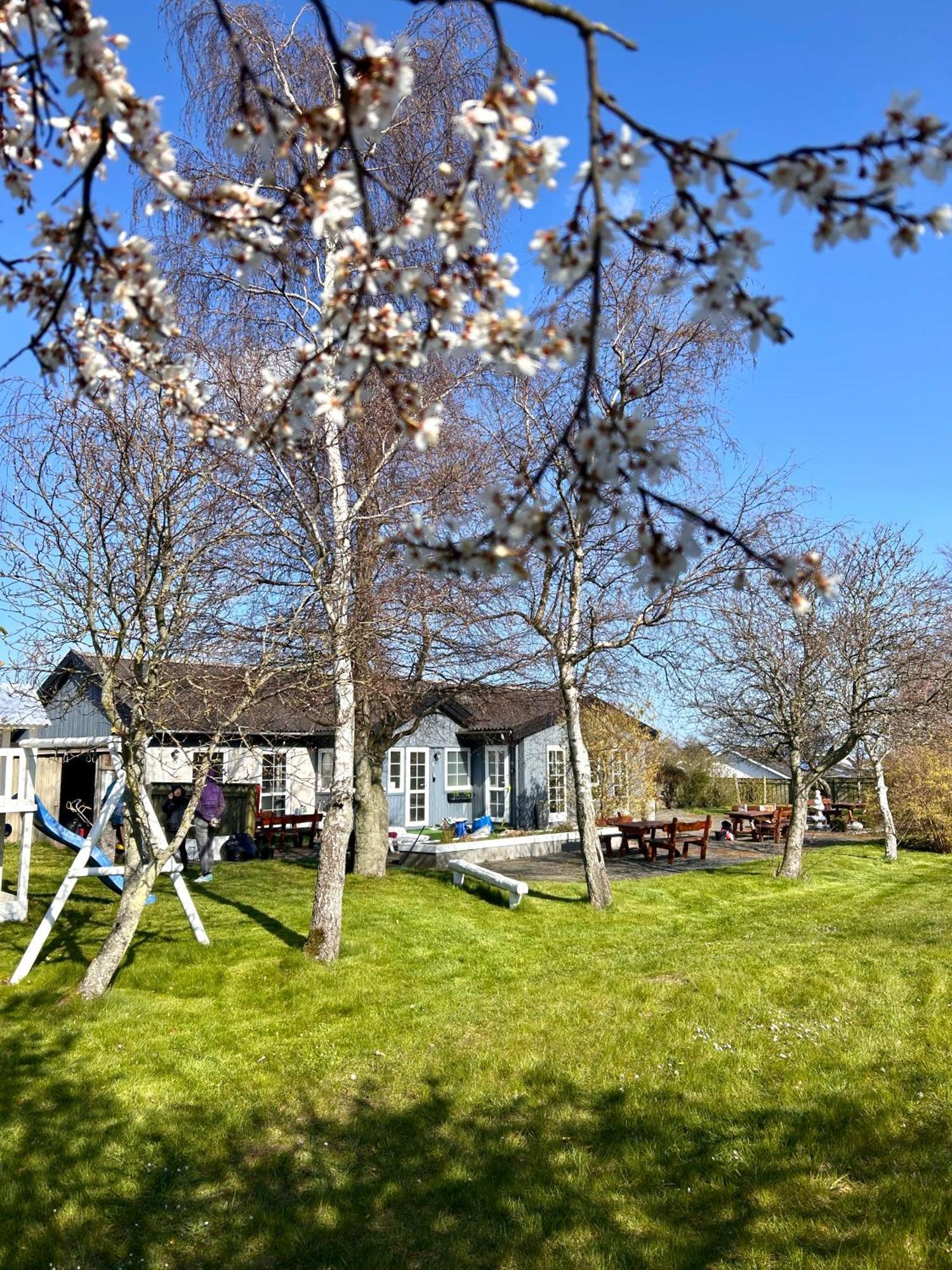 Apartamenty Neksø Exteriör bild